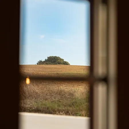 Um Pouco De Campo Casa de Férias